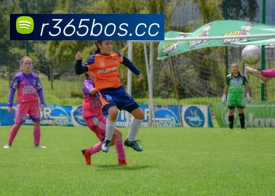 开云官网平台生态图