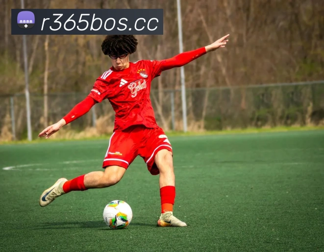 开云官网APP 封面图